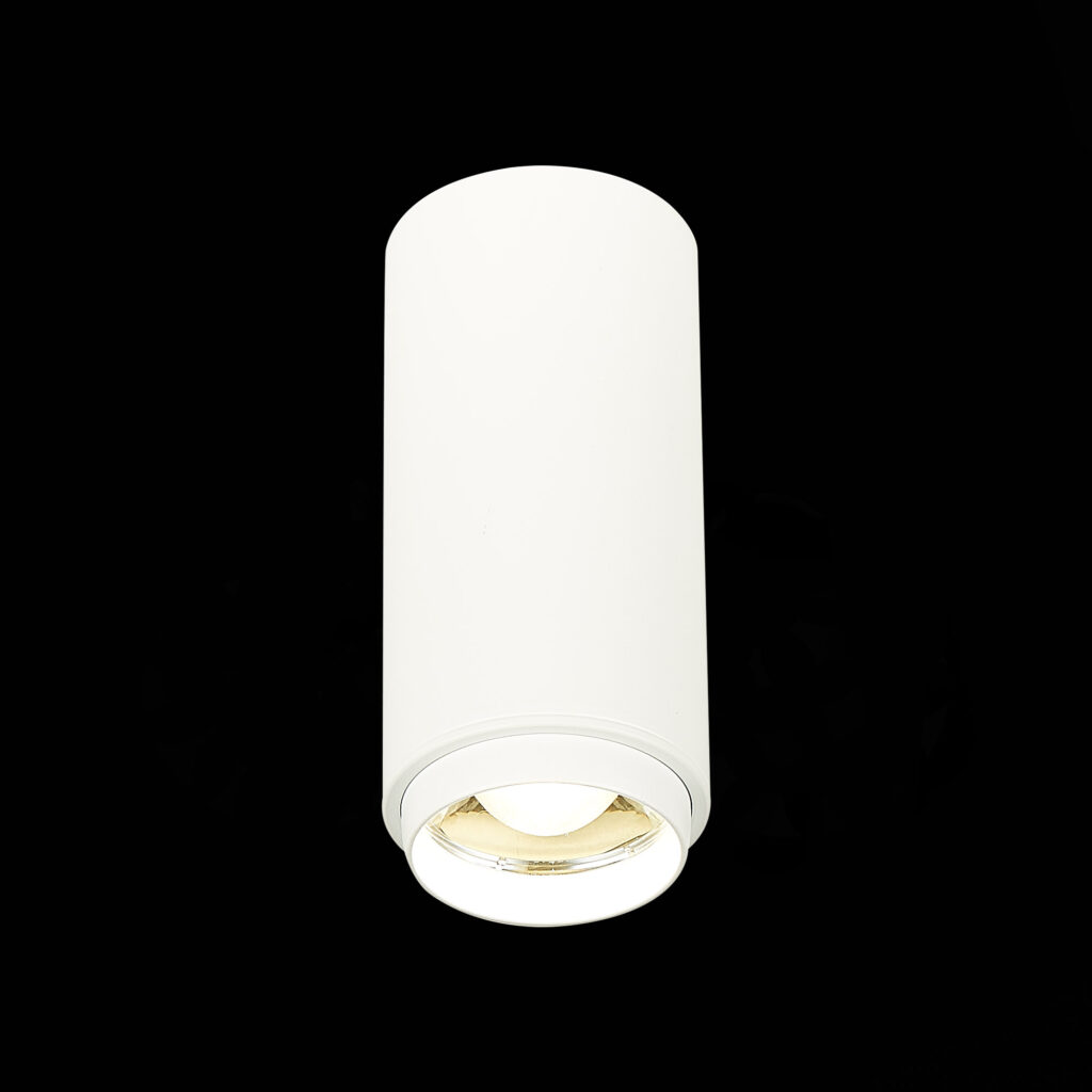 ST600.542.10 Светильник потолочный Zoom Белый LED 1*10W 4000K 1 000Lm Ra>80 15-60° IP20 D59xH130 170 Накладные светильники
