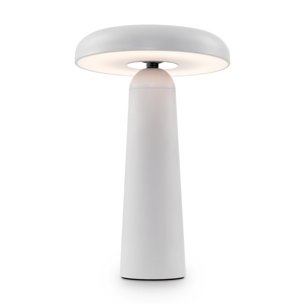 Аккумуляторный светильник Freya FR6109TL-L4W