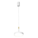 4505-1P, подвес, D125xH210/1800, LEDx10W, 650LM, 4000K, CRI>90, , dimmer