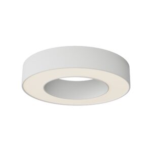 Потолочный светильник Technical C093CL-24W3K-W