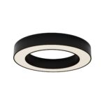 Потолочный светильник Technical C093CL-36W3K-B