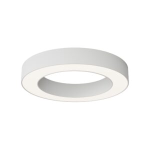 Потолочный светильник Technical C093CL-36W4K-W