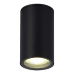 SL9010.412.01 Светильник уличный потолочный ST-Luce черный GU10 1*50W TUBO
