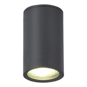 SL9010.712.01 Светильник уличный потолочный ST-Luce серый GU10 1*50W TUBO