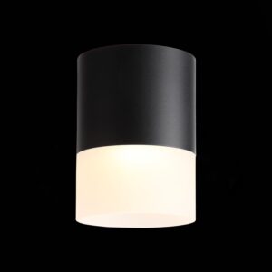 ST100.402.15 Светильник потолочный Черный LED 1*15W 3000K 1 170Lm Ra>80 120° D118xH150 170-240VV Накладные светильники