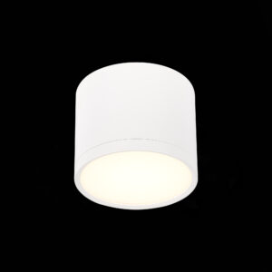 ST113.532.09 Светильник потолочный Белый LED 1*9W 3000K 702Lm Ra>90 120° IP20 D88xH75 170-240V Накладные светильники