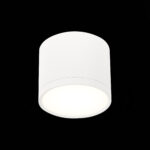 ST113.542.09 Светильник потолочный Белый LED 1*9W 4000K 702Lm Ra>90 120° IP20 D88xH75 170-240V Накладные светильники