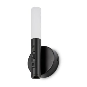 Настенный светильник (бра) Freya FR5342WL-L3B