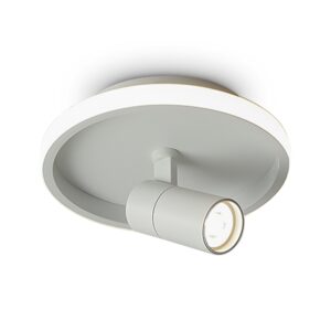 Потолочный светильник Freya FR6040CL-L14W